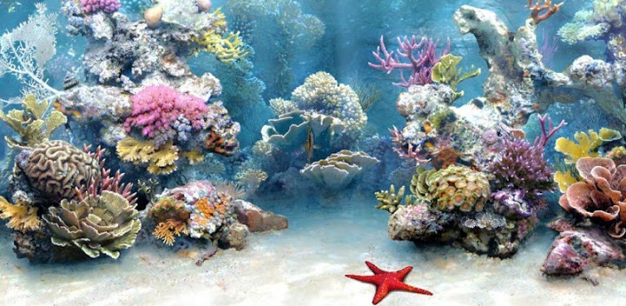 dream aquarium screensaver torrent